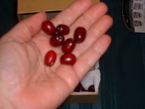 dw cherries in hand.jpg